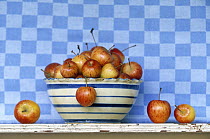Apple (Malus sp) in striped bowl with blue checked background, Holland