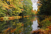 Mersey River in fall, Kejimkujik National Park, Nova Scotia, Canada