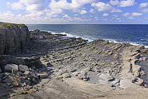 Middle ordovician fossil site, Table Point Ecological Reserve, Canada