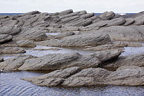 Limestone in middle ordovician fossil site, Table Point Ecological Reserve, Canada