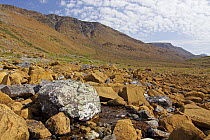 The Tablelands region, unique mountains formed of exposed earth's mantle, Gros Morne National Park, Newfoundland, Canada