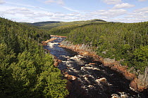 Pinware River with rapids, Labrador, Canada