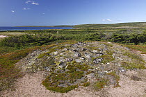 Native American burial mound from the Maritime Archaic, Labrador, Canada