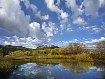 Pond near East Beckwith Mountain, West Elk Wilderness, Colorado