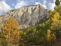 Marcellina Mountain near Crested Butte, Colorado