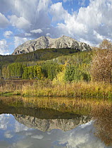 East Beckwith Mountain reflected in pond, West Elk Wilderness, Colorado