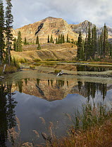 Ruby Range reflected in pond, Raggeds Wilderness, Colorado