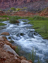 Creek at Havasu Canyon, Grand Canyon, Arizona