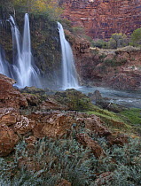 Navajo Falls, Havasu Canyon, Arizona