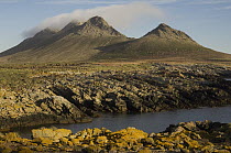Steeple Jason Island view looking east to west, Falkland Islands