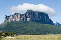 Amuri Tepui, Venezuela