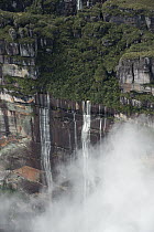 Top of Angel Falls, the highest waterfall in the world, on Auyan Tepui, Venezuela