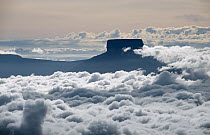 Ptari Tepui surrounded by clouds, Venezuela