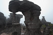Rock formations on tepui, Mount Roraima, Venezuela
