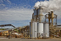 Wood processing plant near Christchurch, New Zealand