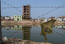 Contaminated standing water that causes disease in slums of Dhaka, Bangladesh
