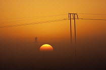 Powerlines at sunrise, Marievale Bird Sanctuary, South Africa