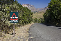 Rock Hyrax (Procavia capensis) warning sign, Royal Natal National Park, South Africa