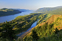 Columbia River, Crown Point State Park, Oregon