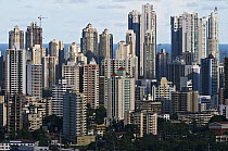 Panama City, the capital, skyline, Panama