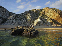 Brown Pelican (Pelecanus occidentalis) trio on coastal rock, Cabo San Lucas, Mexico