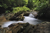 Small waterfall in rainforest interior, Lambir Hills National Park, Borneo, Malaysia