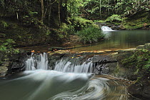 Stream cascades over sandstone layers, Lambir Hills National Park, Borneo, Malaysia