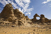 Rock formations, Tassili of Maridet, Libyan Desert, Libya