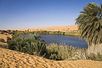 Mandara Lake in the dunes of Ubari, Umm-al-Maa, Libya