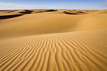Sand dunes in the Libyan Desert, Libya