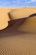 Sand dunes, Libyan Desert, Libya