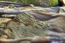 Limestone boulders in Oparara River stained brown with organic matter, Oparara Basin Arches, Kahurangi National Park, near Karamea, New Zealand