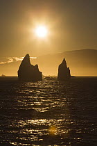 Icebergs at sunrise, Antarctica