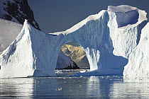 Iceberg, Antarctic Peninsula, Antarctica