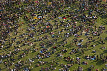 Crowd of people, Rheinkultur Festival, Bonn, Germany
