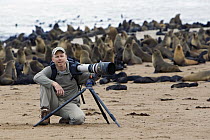 Photographer Ingo Arndt with Cape Fur Seal (Arctocephalus pusillus) colony, Cape Cross, Namibia