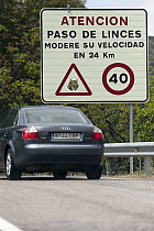 Spanish Lynx (Lynx pardinus) traffic signs, Sierra de Andujar Natural Park, Andalusia, Spain