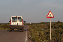 Spanish Lynx (Lynx pardinus) traffic sign, Donana National Park, Huelva, Andalusia, Spain