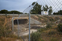 Faunal bi-pass built under the road for animals to connect between various area of the park, Donana National Park, Huelva, Andalusia, Spain