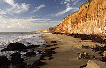 Costa Dourada Beach with cliffs, Bahia State, Brazil