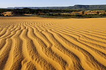 Rippled sand dunes, Jalapao State Park in easter Tocantins, Brazil