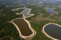 Aerial view of saltwater lakes in southern Pantanal, Brazil