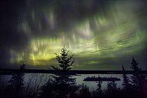 Aurora Borealis over Moose Lake, Boundary Waters Canoe Area Wilderness, Minnesota