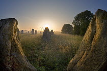 Standing Stones at sunrise, Carnac, Brittany, France