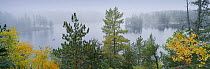 Autumn mist over Discovery Lake, Boundary Waters Canoe Area Wilderness, Superior National Forest, Minnesota