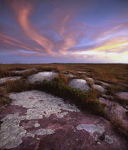 Sioux Quartzite, Blue Mounds State Park, Minnesota