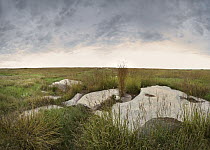 Sioux Quartzite on tallgrass prairie, Blue Mounds State Park, Minnesota