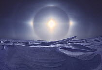 Sundogs, also known as mock sun, with snow field, Minnesota