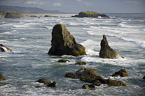 Seastacks and rugged Pacific coastline, Bandon, Oregon