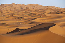 Dunes of Erg Chebbi near the village of Merzouga, Morocco